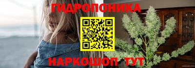 индика Волгодонск