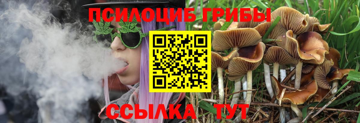 Белебей  цены наркотик  Вход с VPN  Псилоцибиновые грибы Cubensis 